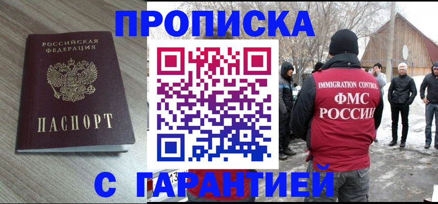 прописка 2025 в Волосово